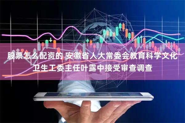 股票怎么配资的 安徽省人大常委会教育科学文化卫生工委主任叶露中接受审查调查
