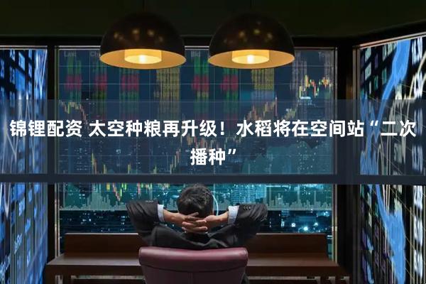 锦锂配资 太空种粮再升级！水稻将在空间站“二次播种”